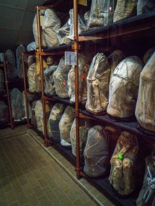 Chiclayo Chachapoyas Amazonia 3 1 225x300 - Dzika P&oacute;łnoc Peru