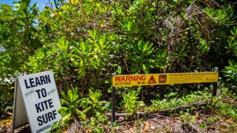 1 1 4 344x193 - Hen ku Brisbane, czyli nasz pierwszy road trip po Australii