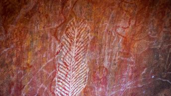 1 1 6 344x193 - Miliardy much nie mogą się mylić - Uluru