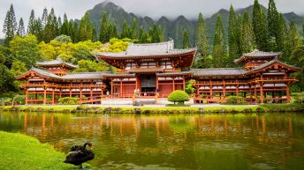 1 1 9 344x193 - Nie takie znowu rajskie Hawaje