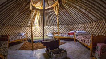 1 10 17 344x193 - Koleją transsyberyjską do domu