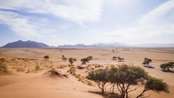1 100 344x193 - Piaskiem po oczach i nie tylko - Namibia cz. II