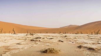 1 106 344x193 - Piaskiem po oczach i nie tylko - Namibia cz. II