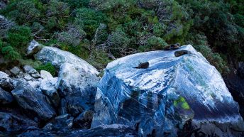 1 12 3 344x193 - W krainie Władcy Pierścieni - Wyspa Południowa