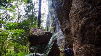1 14 1 344x193 - Hen ku Brisbane, czyli nasz pierwszy road trip po Australii