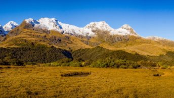 1 14 3 344x193 - W krainie Władcy Pierścieni - Wyspa Południowa