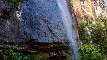 1 15 1 344x193 - Hen ku Brisbane, czyli nasz pierwszy road trip po Australii