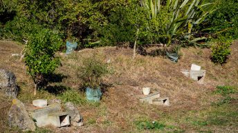 1 15 3 344x193 - W krainie Władcy Pierścieni - Wyspa Południowa