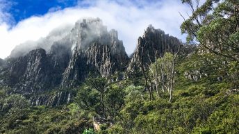 1 16 1 344x193 - Do diabła!... czyli Tasmania :-)