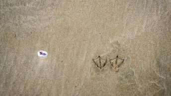 1 19 1 344x193 - W krainie Władcy Pierścieni - Wyspa Południowa