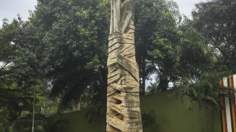 1 2 18 344x193 - Afrykańska perła w koronie - Uganda
