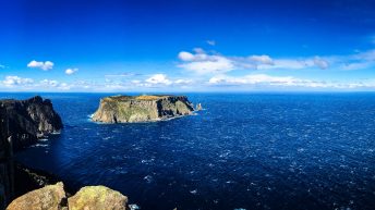 1 2 5 344x193 - Do diabła!... czyli Tasmania :-)