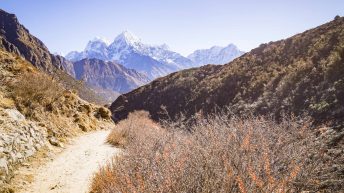 1 5 17 344x193 - Trasą trzech przełęczy - Nepal
