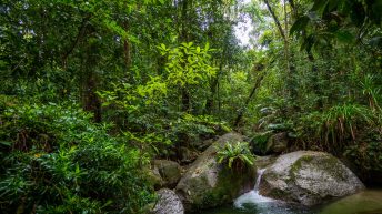 1 5 2 344x193 - Hen ku Brisbane, czyli nasz pierwszy road trip po Australii