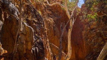 1 53 344x193 - Miliardy much nie mogą się mylić - Uluru