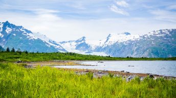 1 58 1 344x193 - Przystanek Alaska cz. II