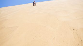 1 60 2 344x193 - Piaskiem po oczach i nie tylko - Namibia cz. II