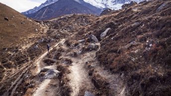 1 62 2 344x193 - Trasą trzech przełęczy - Nepal