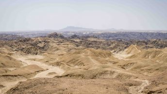 1 65 1 344x193 - Piaskiem po oczach i nie tylko - Namibia cz. II