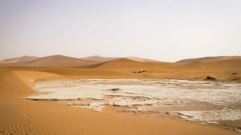 1 87 344x193 - Piaskiem po oczach i nie tylko - Namibia cz. II
