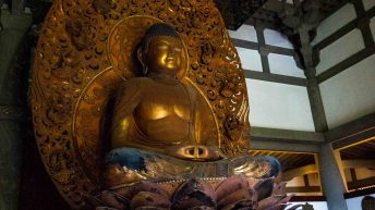 10 24 344x193 - Nie takie znowu rajskie Hawaje