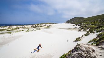 10 28 344x193 - Nie tak dzika Afryka - Kapsztad i okolice (RPA cz. II)