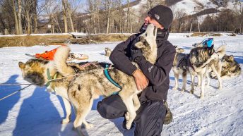 100 4 344x193 - Koleją transsyberyjską do domu