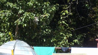 108 344x193 - AZJA - TAJLANDIA, LAOS, KAMBODŻA, MALEZJA, SINGAPUR, NEPAL