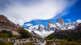 11 12 344x193 - No pain, no Paine - Patagonia