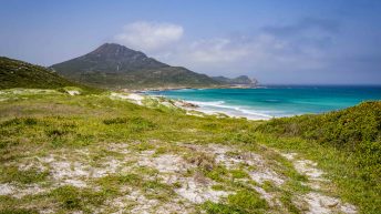 11 22 344x193 - Nie tak dzika Afryka - Kapsztad i okolice (RPA cz. II)