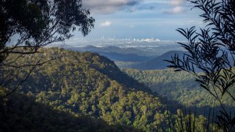 110 1 344x193 - Hen ku Brisbane, czyli nasz pierwszy road trip po Australii