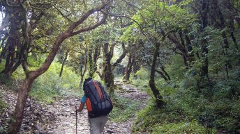 118 344x193 - AZJA - TAJLANDIA, LAOS, KAMBODŻA, MALEZJA, SINGAPUR, NEPAL