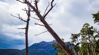 12 12 344x193 - No pain, no Paine - Patagonia