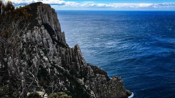 12 18 344x193 - Do diabła!... czyli Tasmania :-)