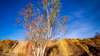 12 19 344x193 - Miliardy much nie mogą się mylić - Uluru