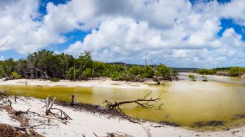 120 1 344x193 - Hen ku Brisbane, czyli nasz pierwszy road trip po Australii
