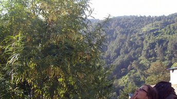 120 344x193 - AZJA - TAJLANDIA, LAOS, KAMBODŻA, MALEZJA, SINGAPUR, NEPAL