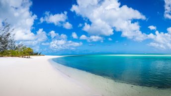 121 1 344x193 - Hen ku Brisbane, czyli nasz pierwszy road trip po Australii