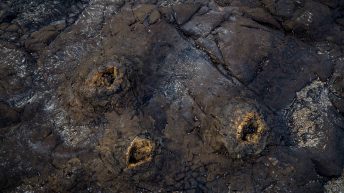 121 2 344x193 - W krainie Władcy Pierścieni - Wyspa Południowa