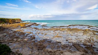 123 2 344x193 - W krainie Władcy Pierścieni - Wyspa Południowa