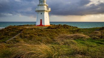 124 344x193 - W krainie Władcy Pierścieni - Wyspa Południowa