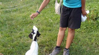 128 344x193 - AZJA - TAJLANDIA, LAOS, KAMBODŻA, MALEZJA, SINGAPUR, NEPAL