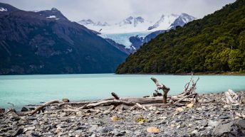 13 11 344x193 - No pain, no Paine - Patagonia