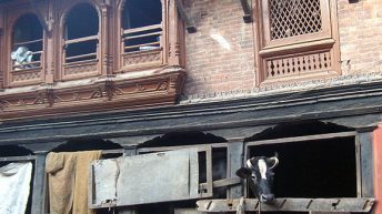 131 344x193 - AZJA - TAJLANDIA, LAOS, KAMBODŻA, MALEZJA, SINGAPUR, NEPAL