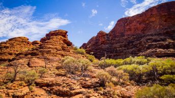 14 19 344x193 - Miliardy much nie mogą się mylić - Uluru