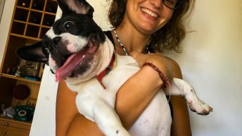 14 9 344x193 - Ze smakiem Caipirinhi na ustach - Rio de Janeiro!