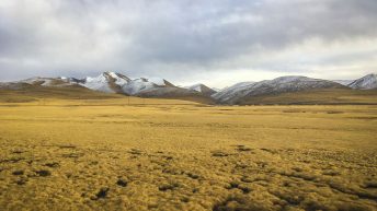 164 1 344x193 - Koleją transsyberyjską do domu