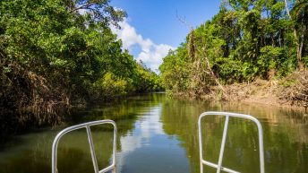 17 17 344x193 - Hen ku Brisbane, czyli nasz pierwszy road trip po Australii