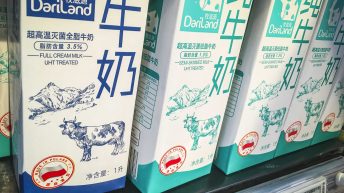 171 1 344x193 - Koleją transsyberyjską do domu