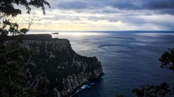 18 17 344x193 - Do diabła!... czyli Tasmania :-)